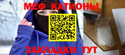 стаф Шелехов