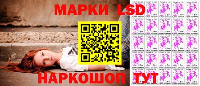 стаф Шелехов