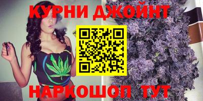 стаф Шелехов