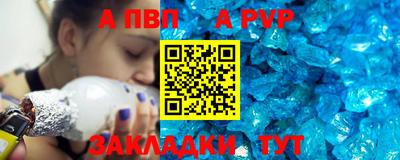стаф Шелехов