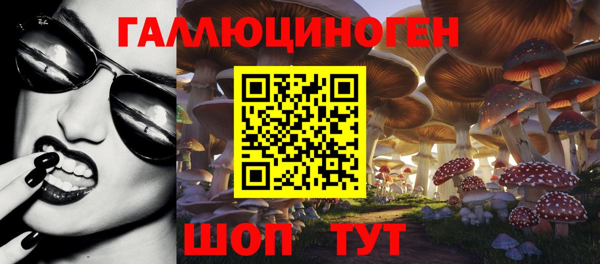 Галлюциногенные грибы Cubensis Изобильный